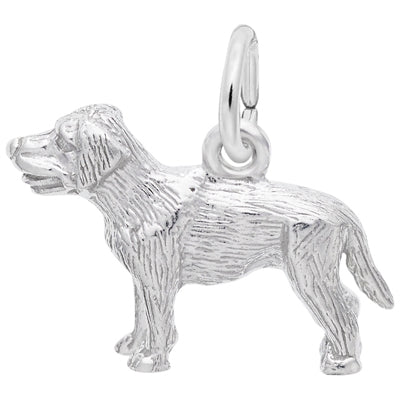 Rembrandt Labrador Dog Charm in Sterling Silver Day s Jewelers