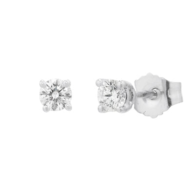 Diamond Stud Earrings in 14kt White Gold (1/4ct tw)