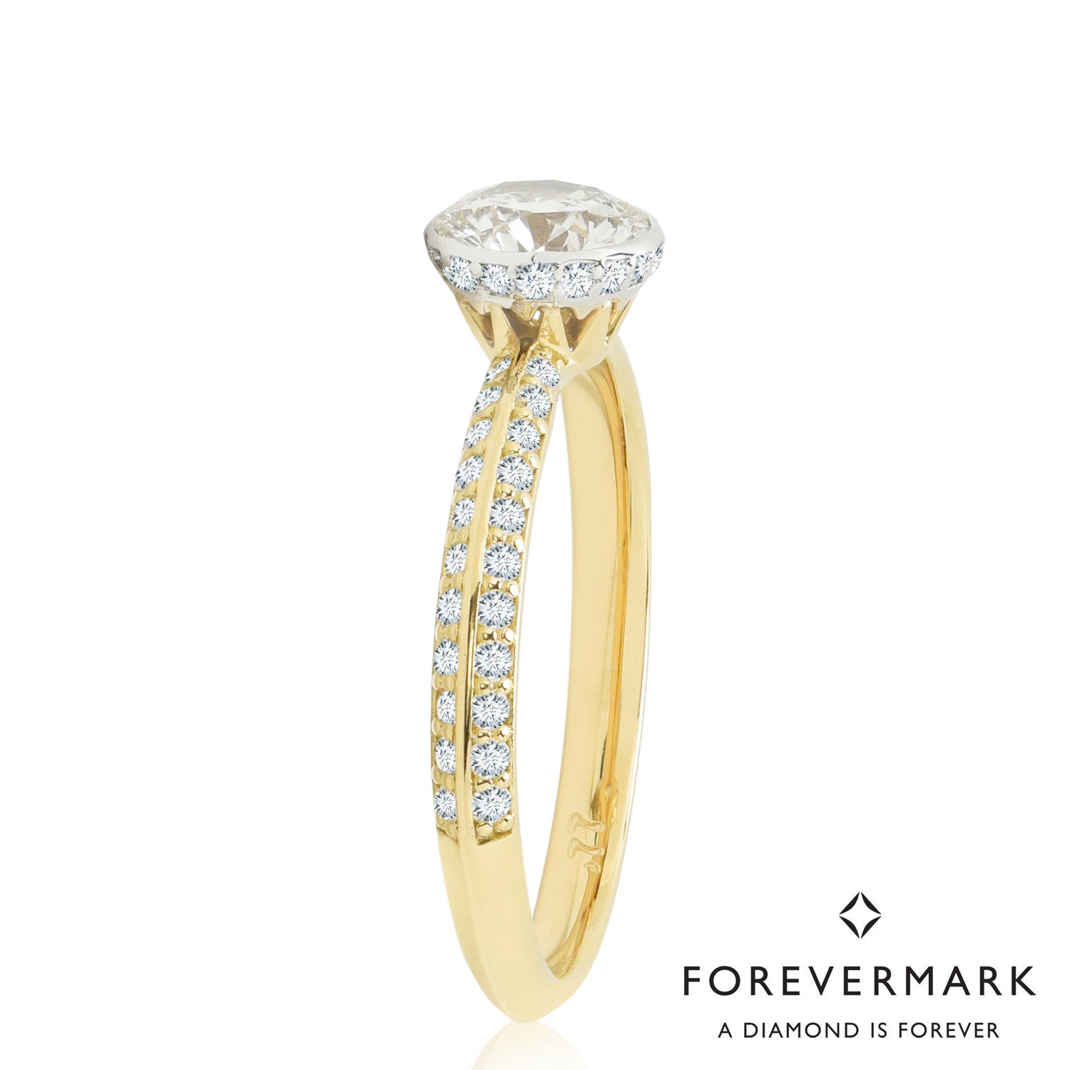 Diamond Engagement Ring in 18kt Yellow Gold (1ct tw)