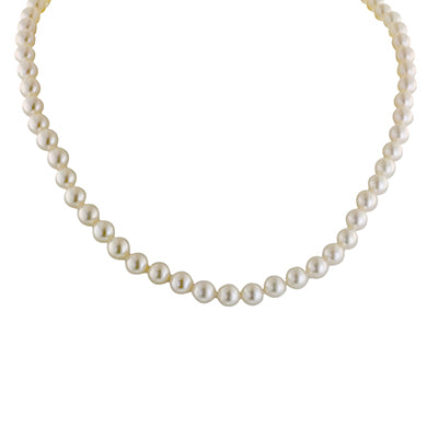 Akoya Cultured Pearl Necklace in 14kt White Gold (6.5-7mm pearls)