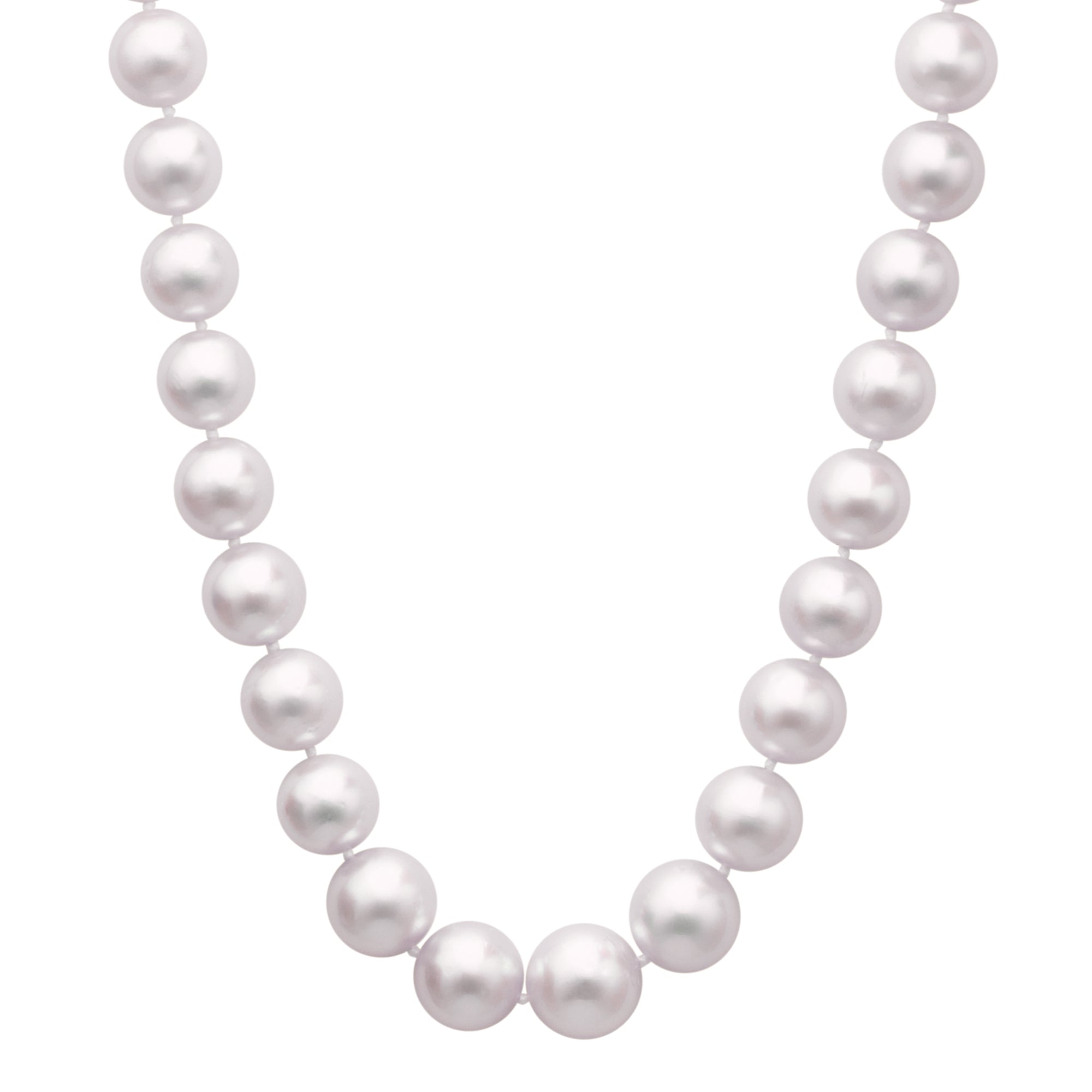 White South Sea Pearl Strand with 14kt White Gold Clasp (10-12.5mm pearls)