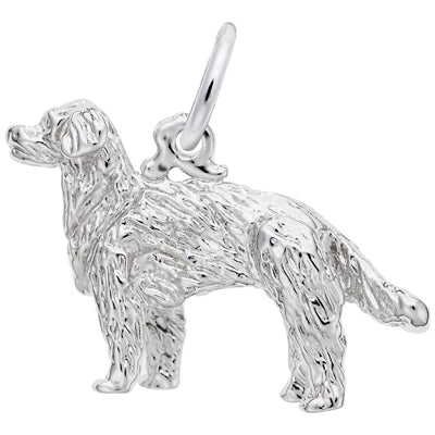 Rembrandt Golden Retriever Charm in Sterling Silver