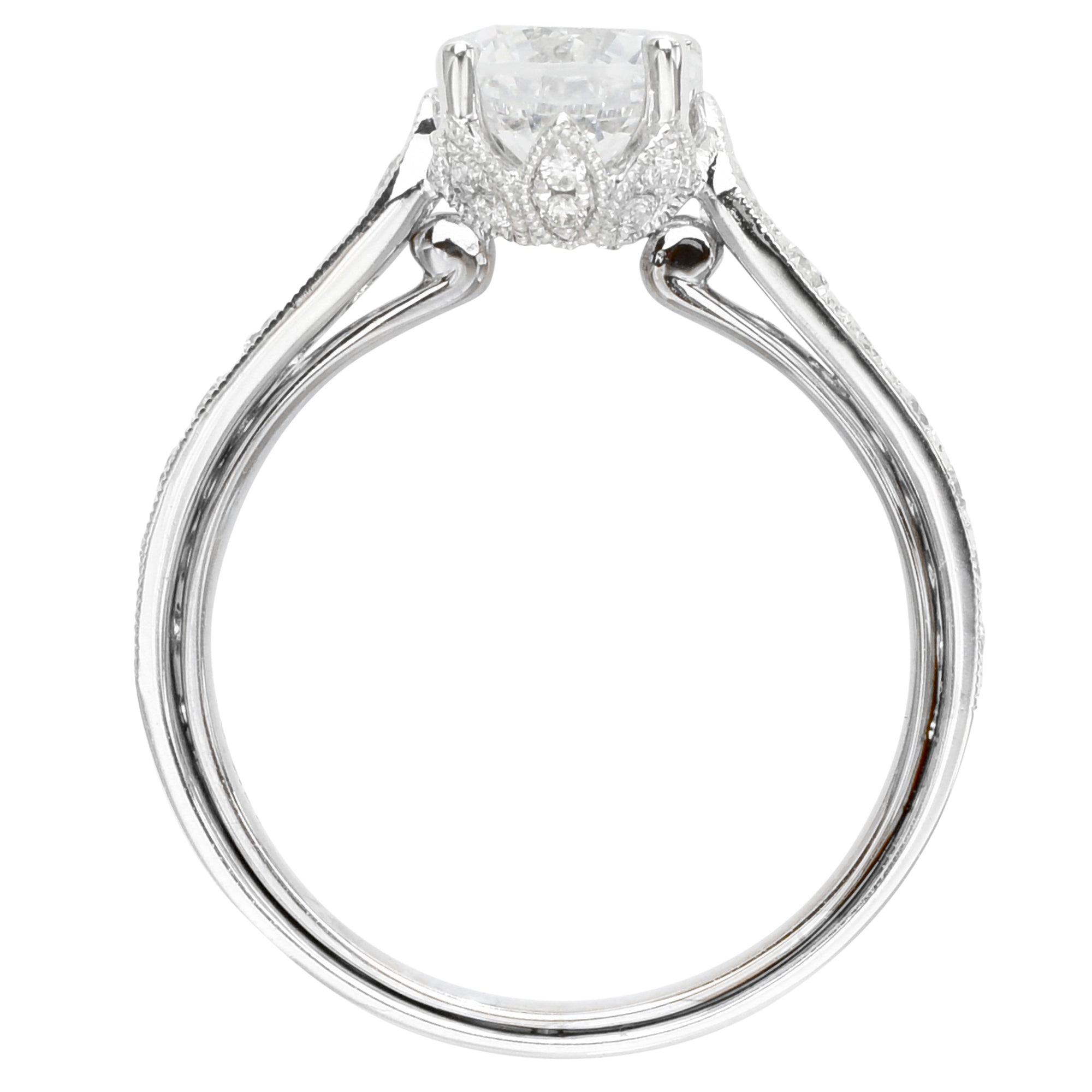 Daydream Diamond Setting in 14kt White Gold (1/2ct tw)