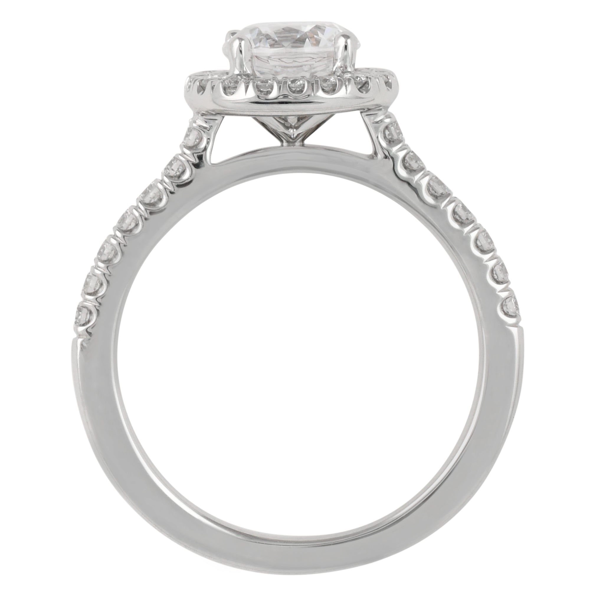 Martin Flyer Diamond Micro Pave Engagement Ring Setting in 14kt White Gold