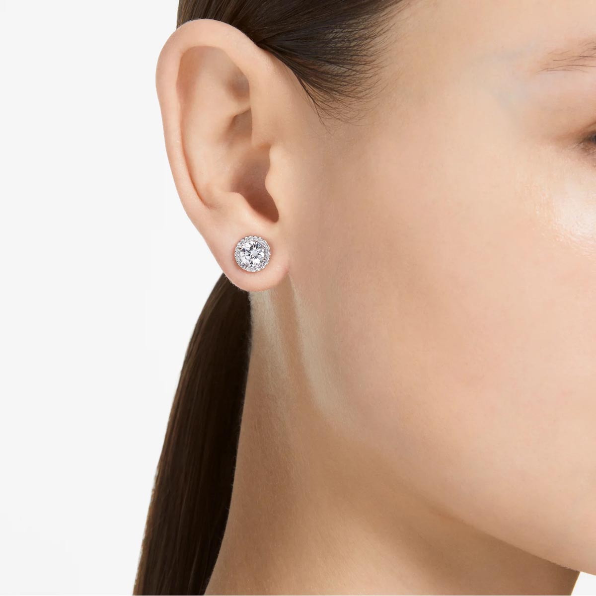 Swarovski Crystal Constella Halo Stud Earrings