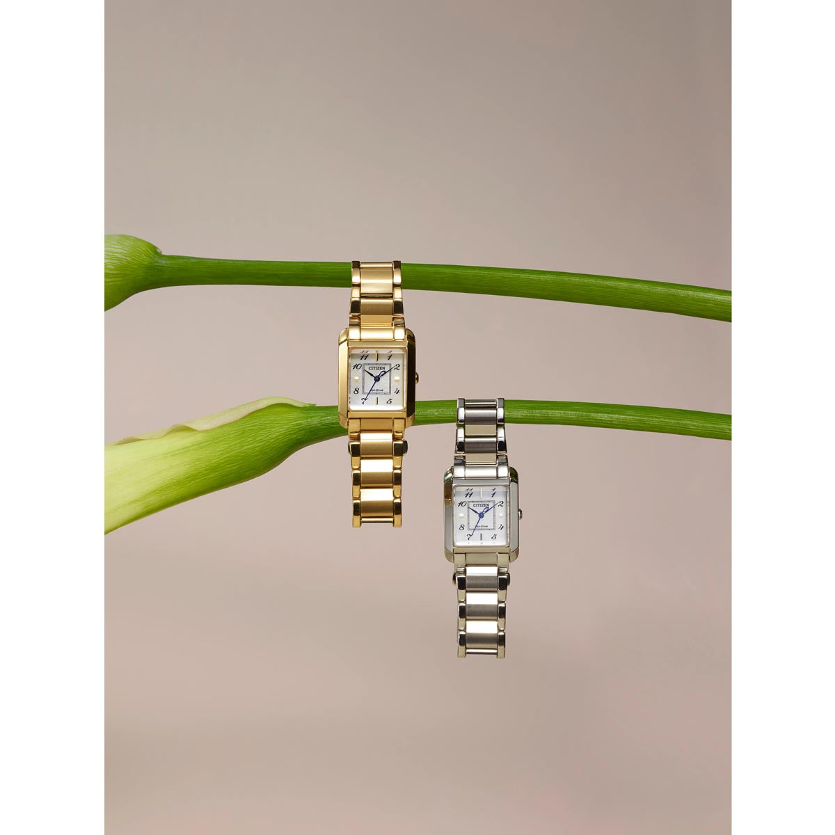 Citizen Bianca Womens Watch with White Dial and Gold Toned Stainless Steel Bracelet (eco-drive movement)