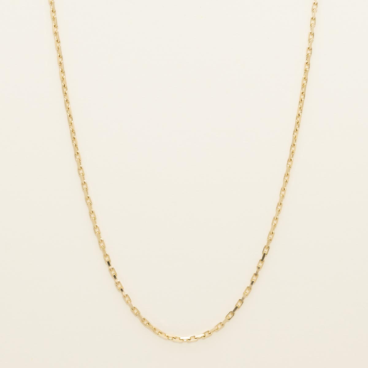 Fancy Link Chain in 14k Yellow Gold 
(18 inches and 1.9mm wide)