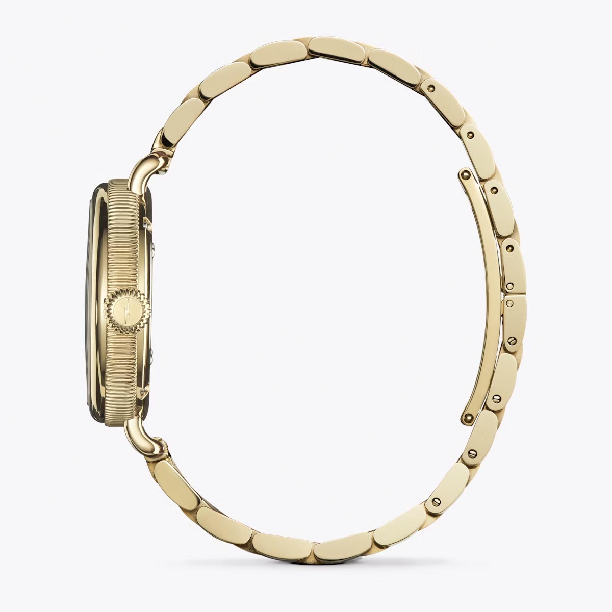 Shinola Birdy Womens Watch with Red Jasper Dial and Yellow Stainless Steel Bracelet (quartz movement)