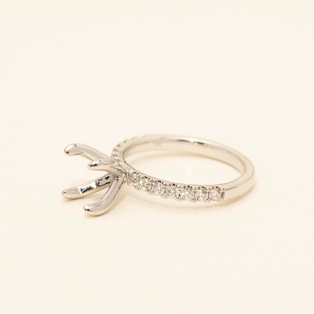 Diamond Engagement Ring Setting in 14kt White Gold (3/8ct tw)