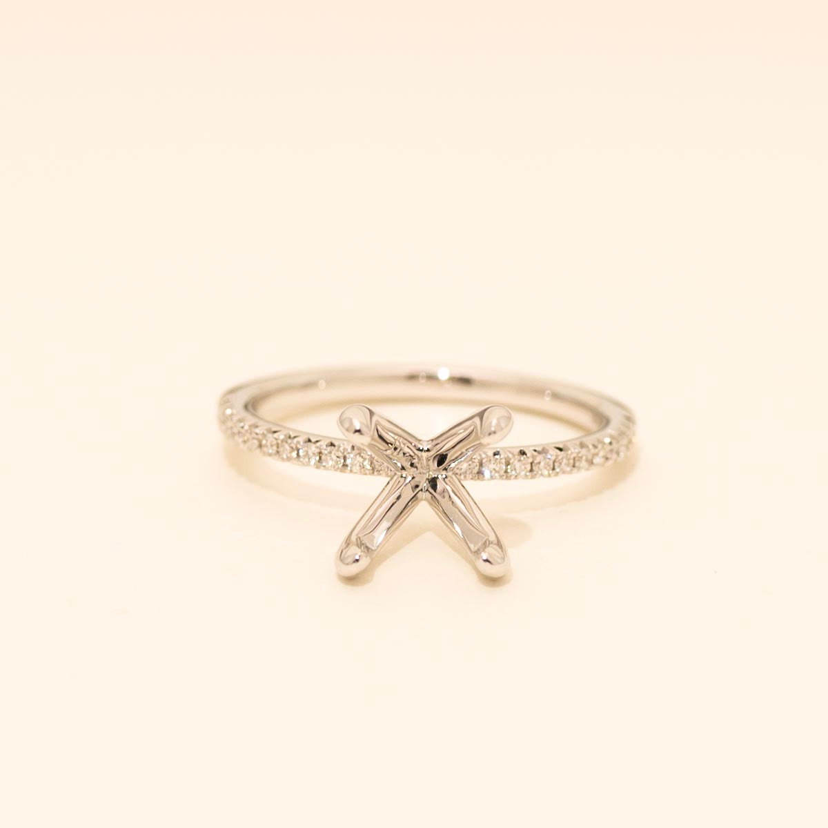 Diamond Engagement Ring Setting in 14kt White Gold (1/7ct tw)