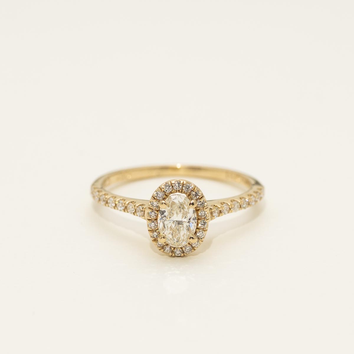 Diamond Halo Engagement Ring in 14kt Yellow Gold (3/4ct tw)