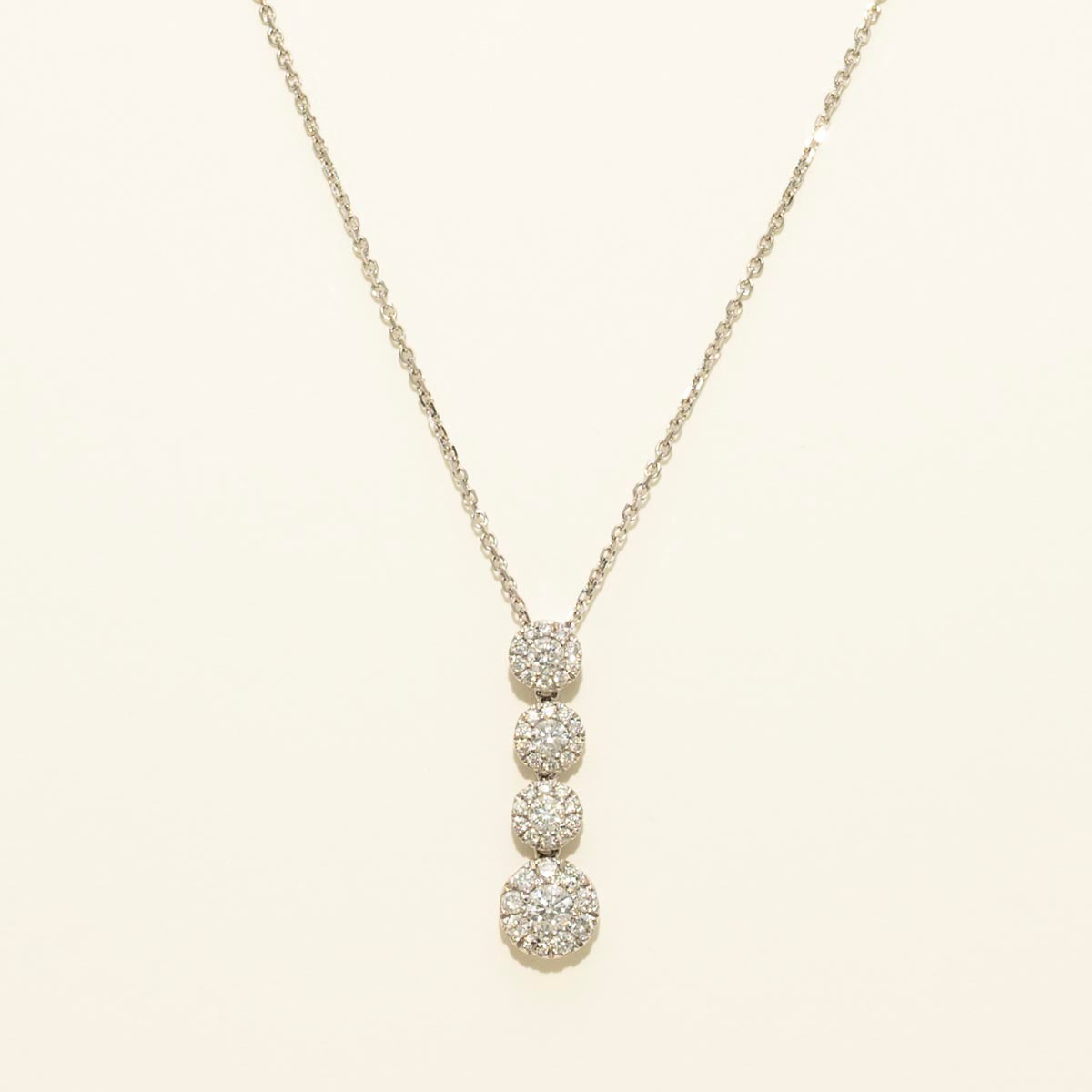 Diamond Halo Necklace in 14kt White Gold (5/8ct tw)