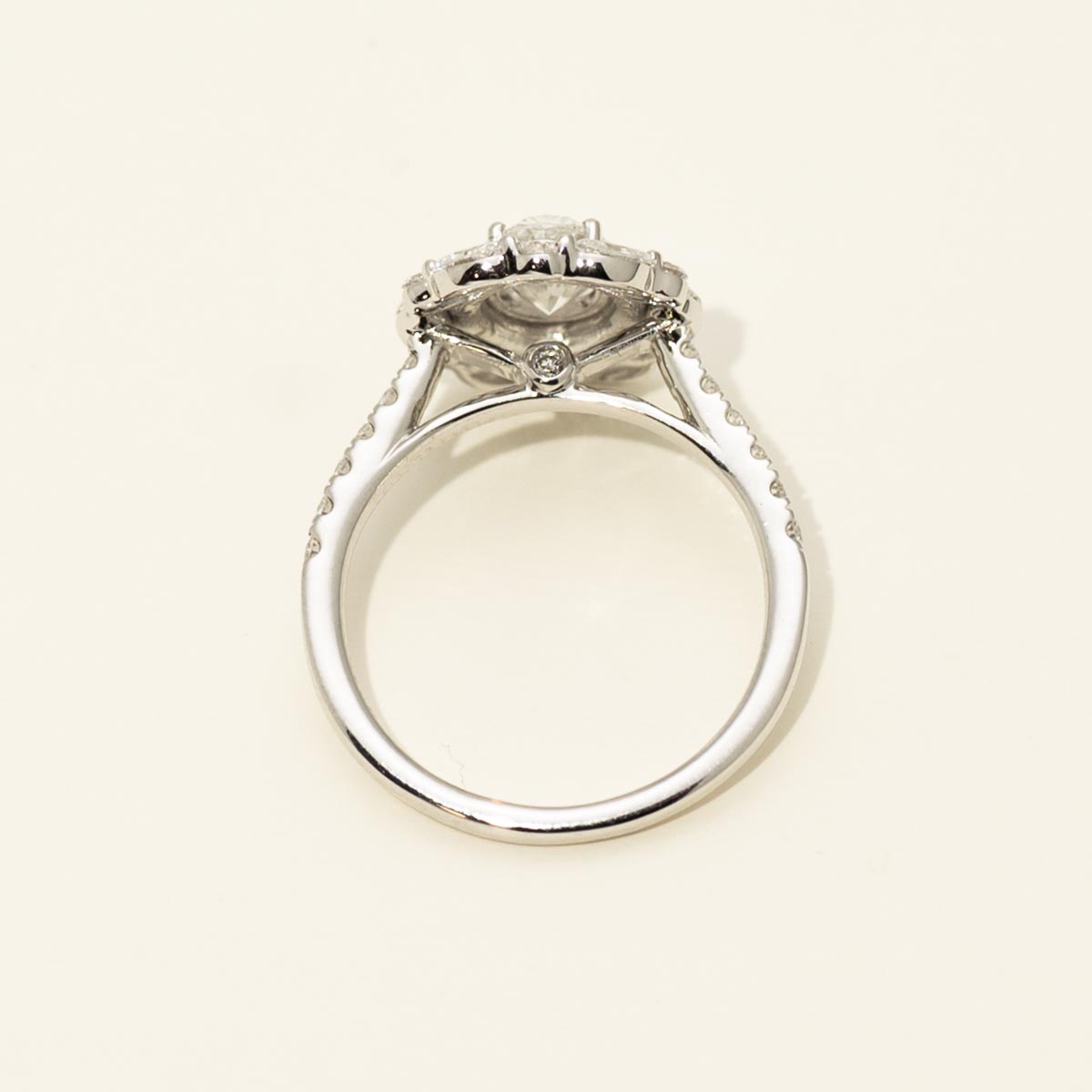Oval Lab Grown Diamond Halo Engagement Ring in 14kt White Gold (2ct tw)