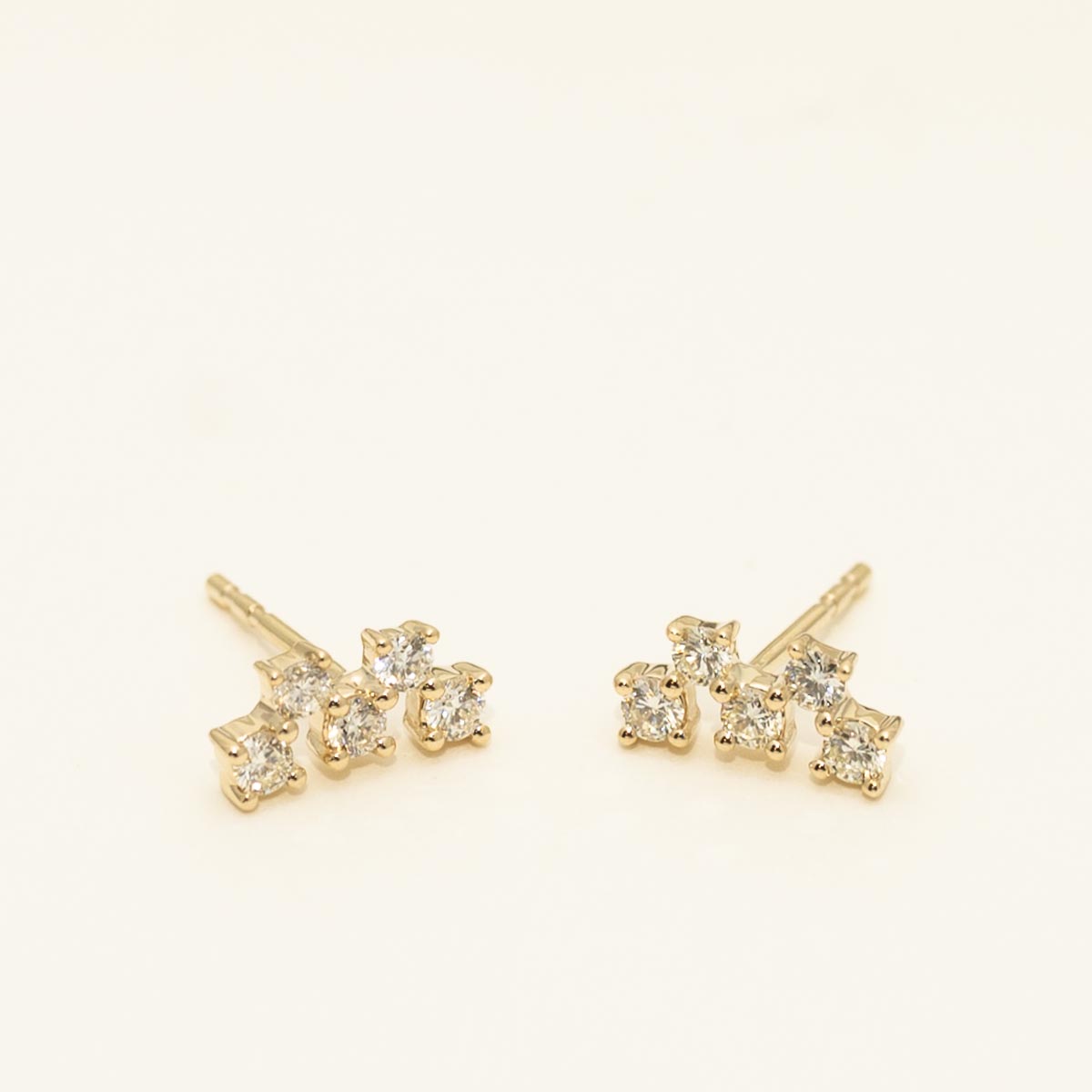 Diamond Earrings in 14kt Yellow Gold (3/8ct tw)