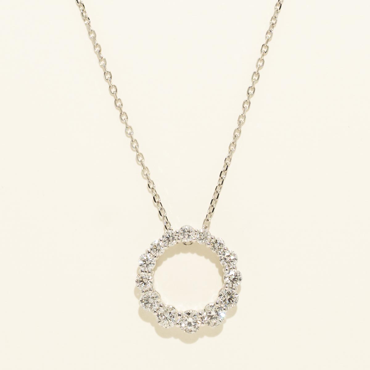 Diamond Circle Necklace in 14kt White Gold (5/8ct tw)