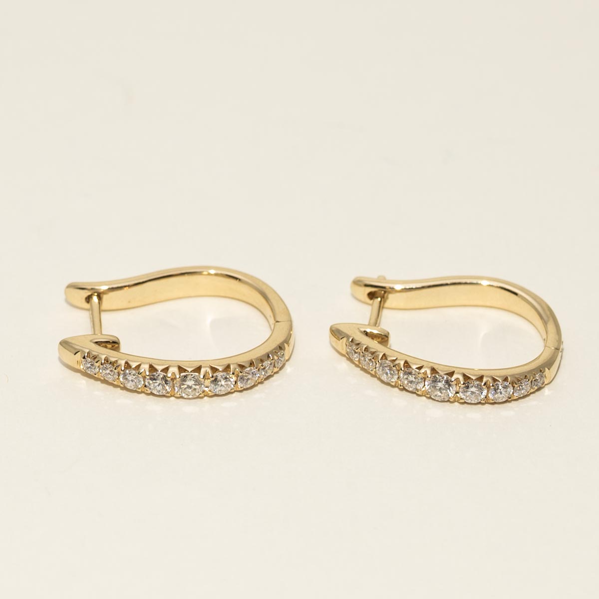 Diamond Hoop Earrings in 14kt Yellow Gold (3/4ct tw)
