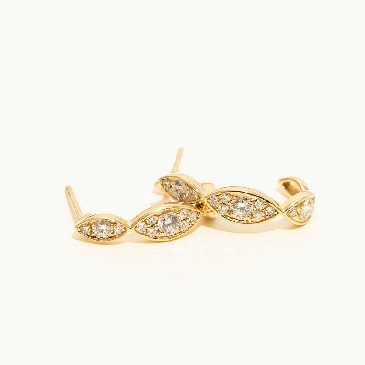 Diamond Hoop Earrings in 14kt Yellow Gold (1/2ct tw)