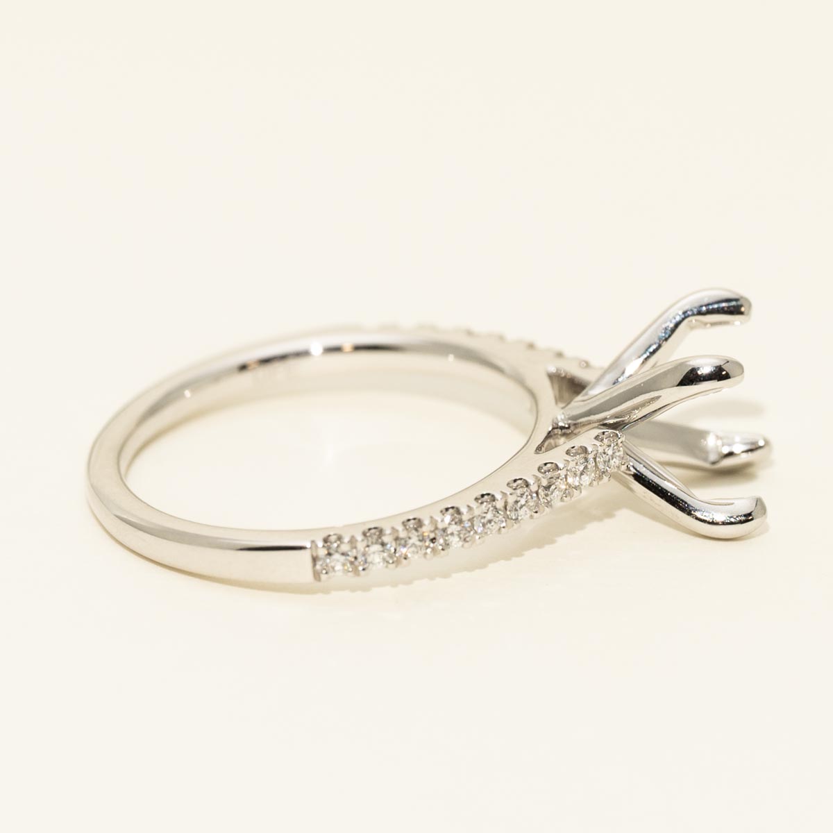 Diamond Engagement Ring Setting in 14kt White Gold (1/4ct tw)