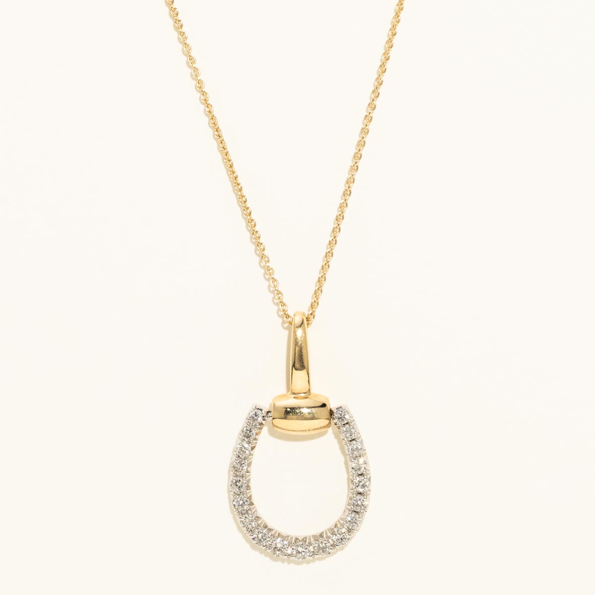 Diamond Necklace in 14kt Yellow and White Gold (1/3ct tw)