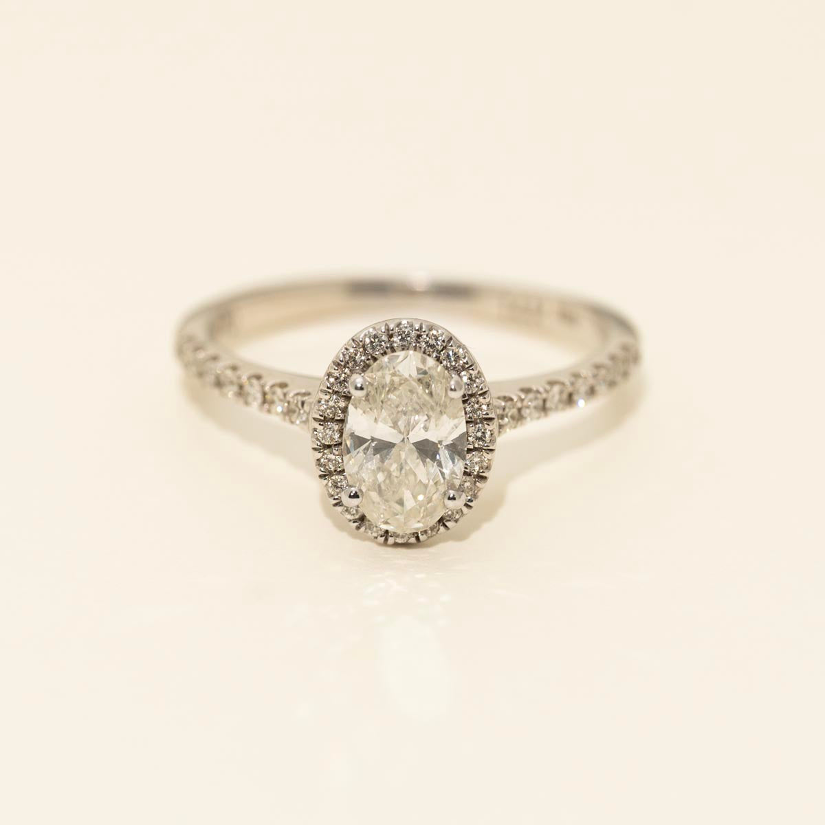 Oval Diamond Halo Engagement Ring in 14kt White Gold (1ct tw)