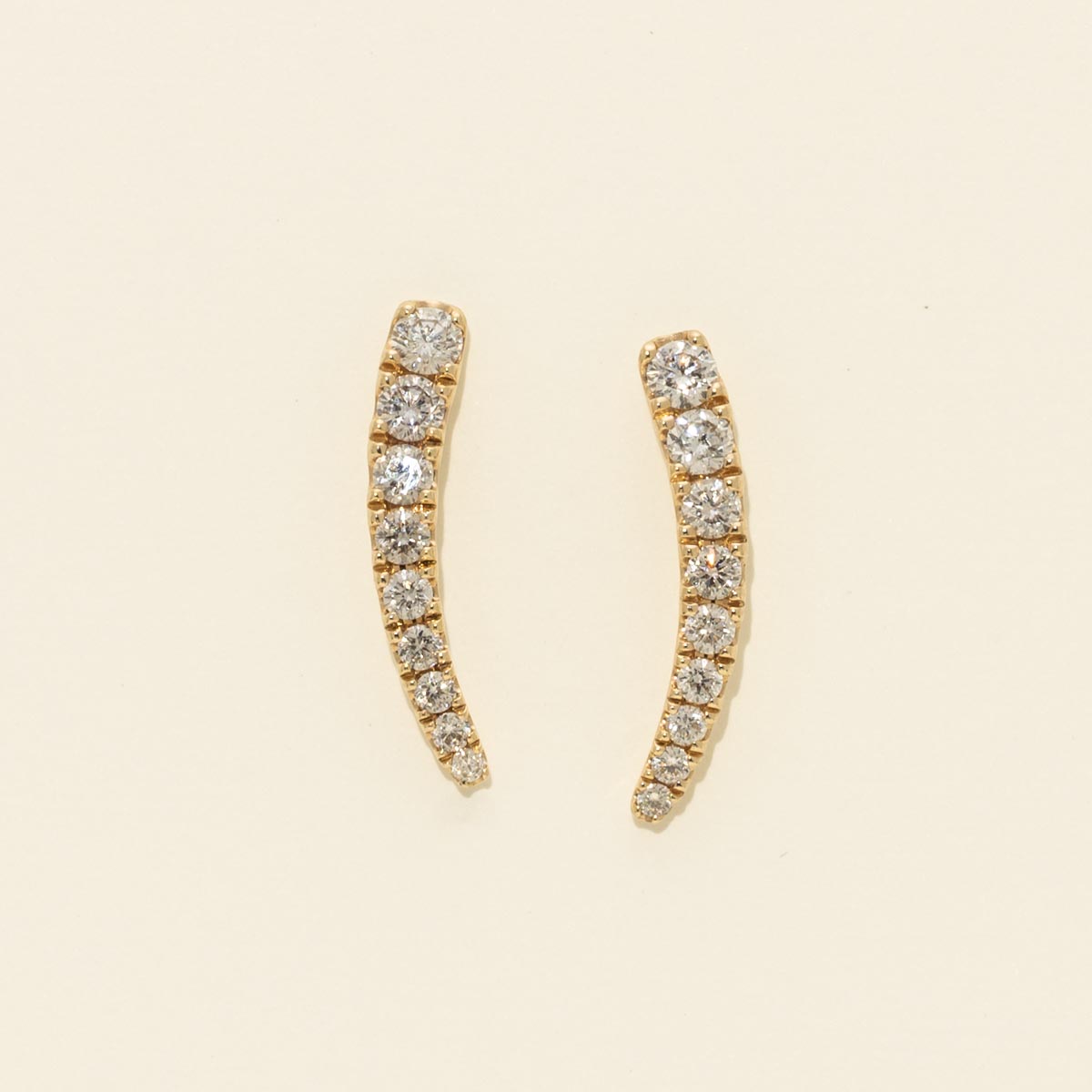 Diamond Earrings in 14kt Yellow Gold (3/4ct tw)