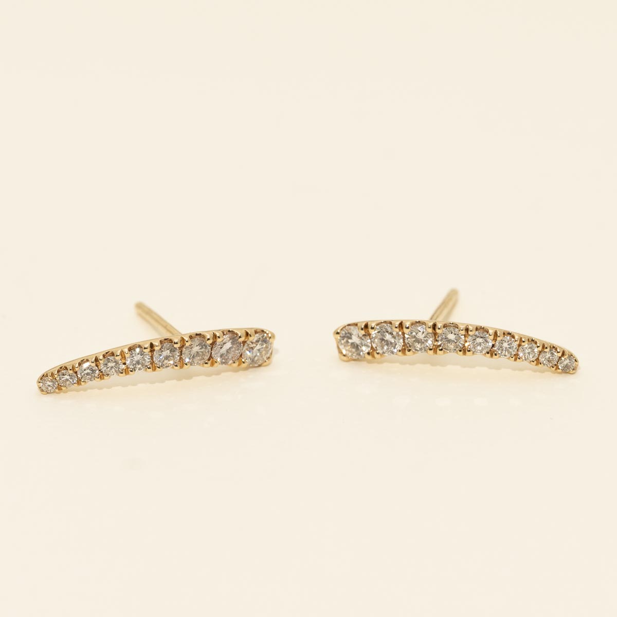 Diamond Earrings in 14kt Yellow Gold (3/4ct tw)