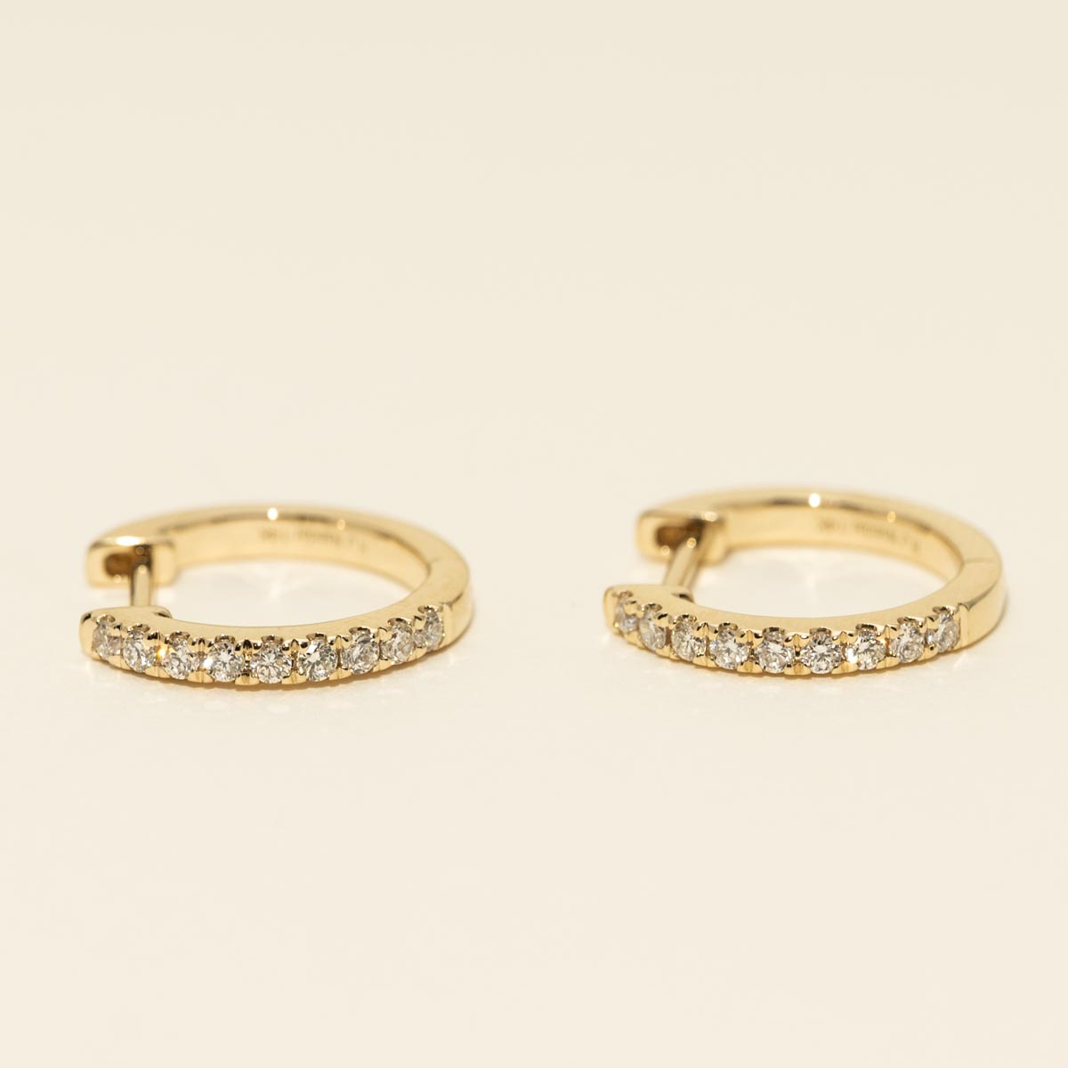 Diamond Hoop Earrings in 14kt Yellow Gold (1/4ct tw)