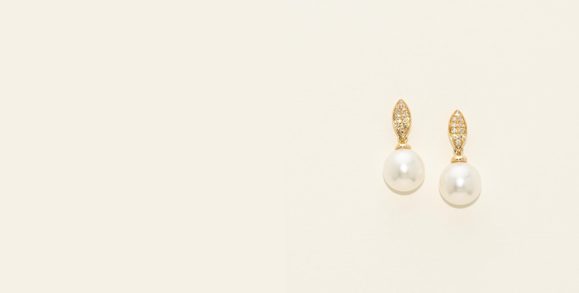CSER00893_collection_header.jpg