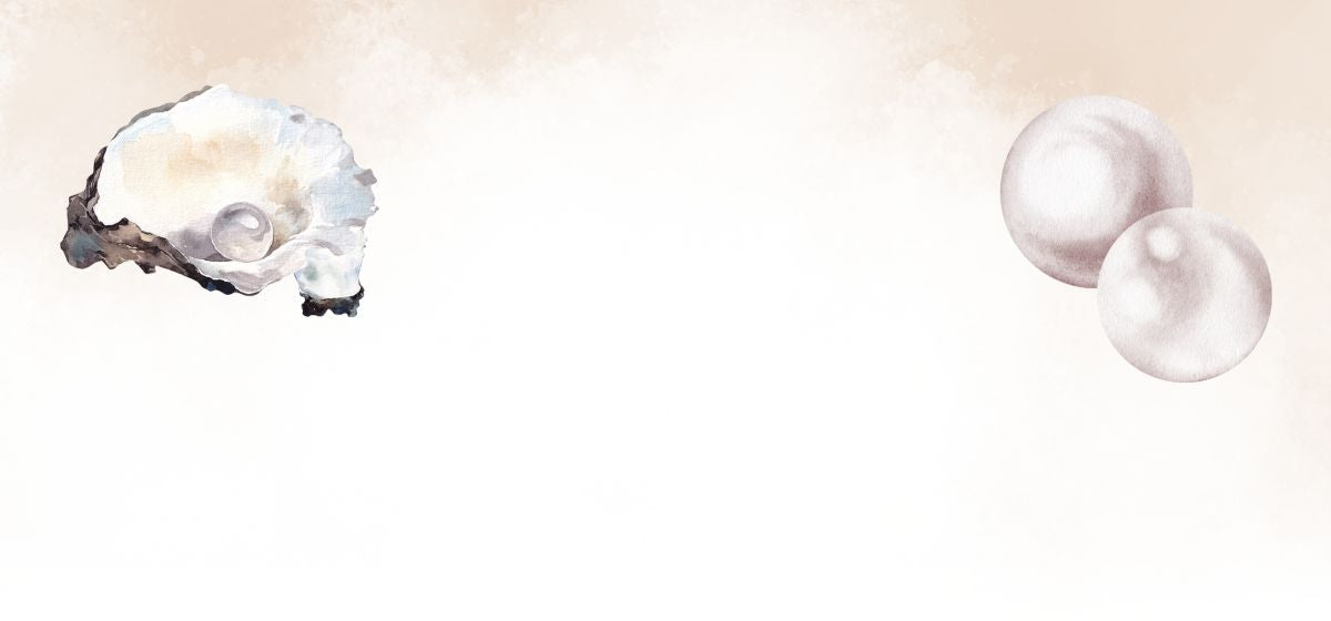 pearls on a shell and white gradient background