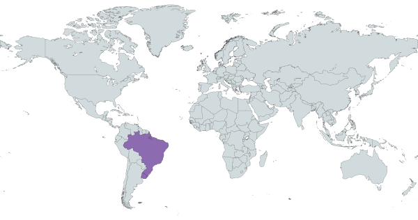 World map highlighting Brazil and Uruguay with a purple color.