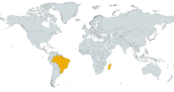 World map highlighting Brazil and Madagascar in orange.